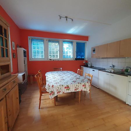 Zentral Gelegene Wohnung Mit Grossem Garten Interlaken Extérieur photo