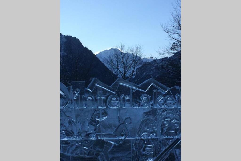 Zentral Gelegene Wohnung Mit Grossem Garten Interlaken Extérieur photo