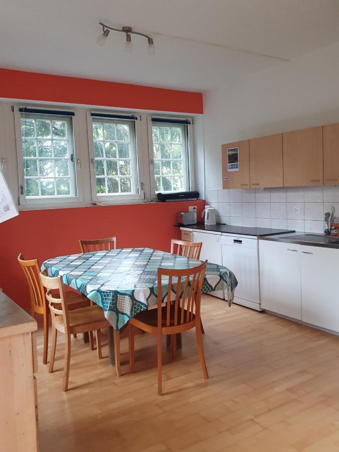 Zentral Gelegene Wohnung Mit Grossem Garten Interlaken Extérieur photo