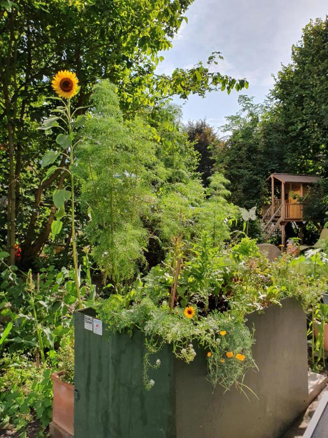 Zentral Gelegene Wohnung Mit Grossem Garten Interlaken Extérieur photo